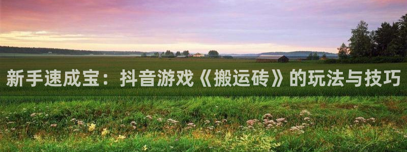 重庆im电竞子文化传播有限公司：新手速成宝：抖音游戏《搬运砖》的玩法与技巧