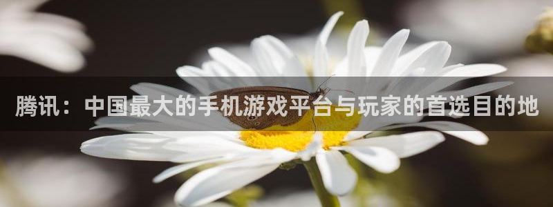 im电竞官网注册方法视频：腾讯：中国最大的手机游戏平台与玩家的首选目的地