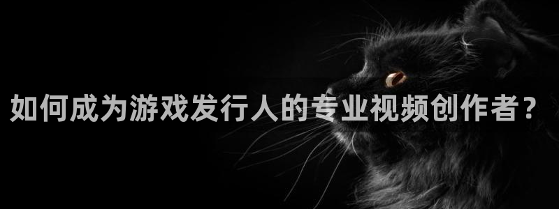 东莞im电竞信息科技有限公司：如何成为游戏发行人的专业视频创作者？