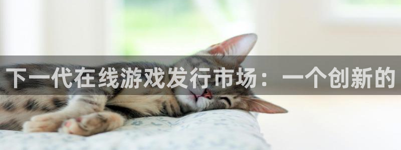 陕西im电竞子文化创意干啥的：下一代在线游戏发行市场：一个创新的