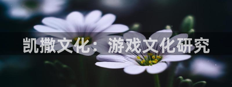 im电竞子文化：凯撒文化：游戏文化研究