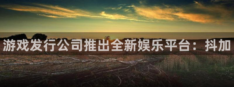 im电竞运动装有哪些品牌：游戏发行公司推出全新娱乐平台：抖加