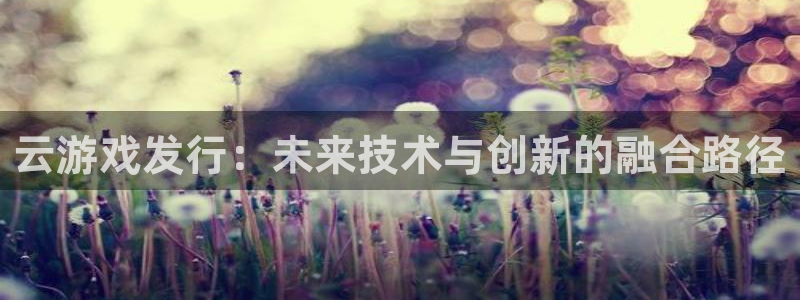 im电竞官网开户待遇：云游戏发行：未来技术与创新的融合路径