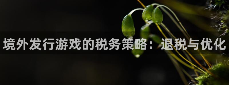 im电竞官网注册地址在哪里查：境外发行游戏的税务策略：退税与优化