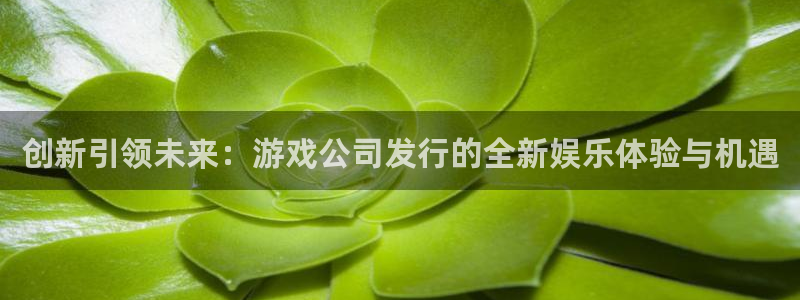 im电竞运动装有哪些品牌：创新引领未来：游戏公司发行的全新娱乐体验与机遇