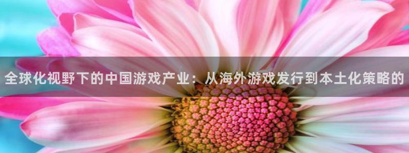 im电竞官网客服：全球化视野下的中国游戏产业：从海外游戏发行到本土化策略的