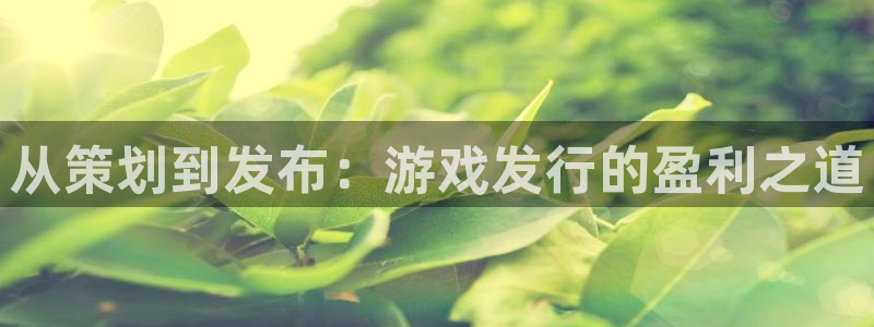 作者im电竞子：从策划到发布：游戏发行的盈利之道