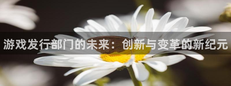 im电竞官网注册地址在哪里：游戏发行部门的未来：创新与变革的新纪元