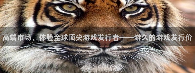 im电竞子写作课：高端市场，体验全球顶尖游戏发行者——游久的游戏发行价