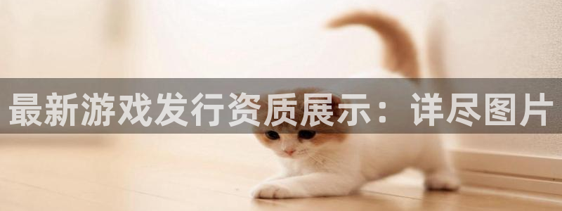 im电竞官网平台代理条件是什么：最新游戏发行资质展示：详尽图片