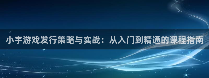 im电竞电子商务怎么样：小宇游戏发行策略与实战：从入门到精通的课程指南