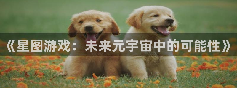 im电竞官网是境外的吗：《星图游戏：未来元宇宙中的可能性》