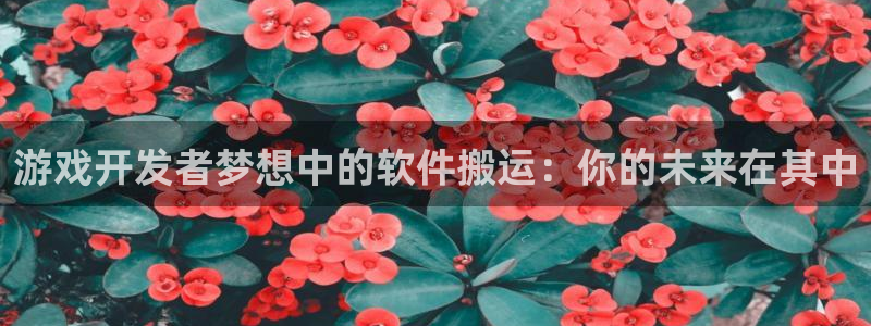 im电竞官网平台怎么样：游戏开发者梦想中的软件搬运：你的未来在其中