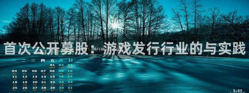 陕西省西安市im电竞子文化创意：首次公开募股：游戏发行行业的与实践