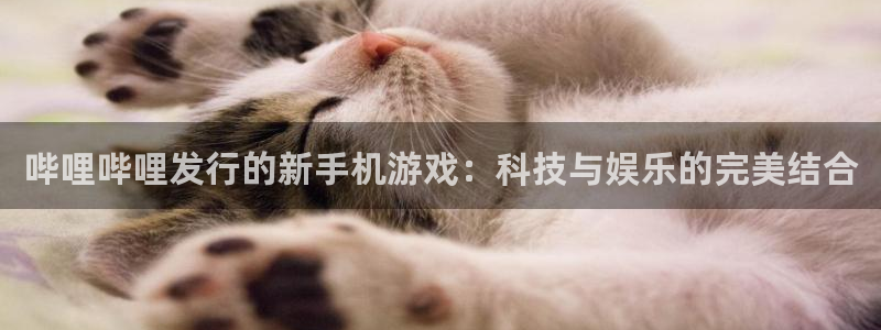 im电竞子最好看的小说：哔哩哔哩发行的新手机游戏：科技与娱乐的完美结合