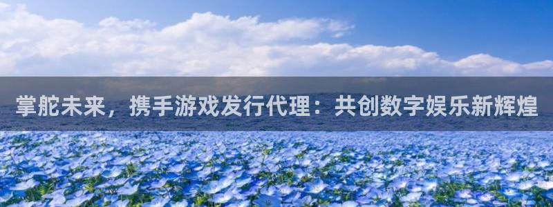法国im电竞官网：掌舵未来，携手游戏发行代理：共创数字娱乐新辉煌