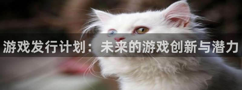 广州im电竞电子商务：游戏发行计划：未来的游戏创新与潜力