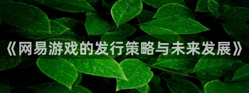 im电竞价格：《网易游戏的发行策略与未来发展》
